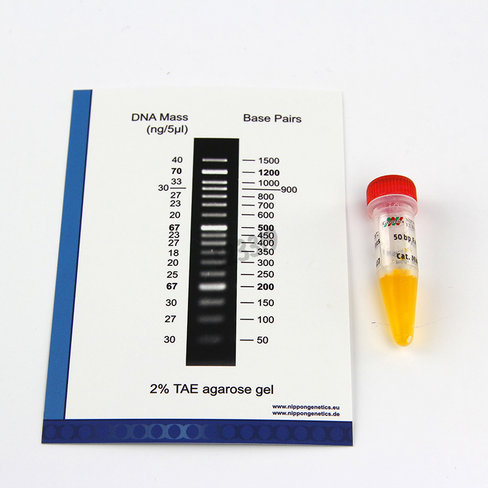 Marqueur pm adn 50-1500bp 500 µl