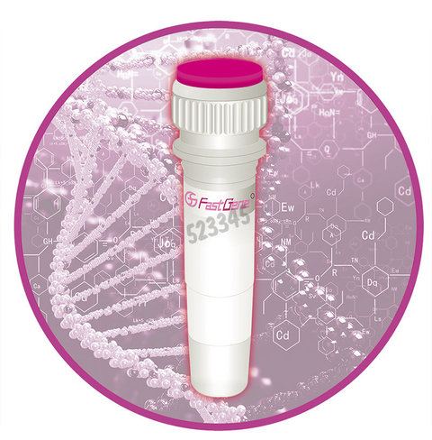 Fastgene scriptase basic for 100 réactions
