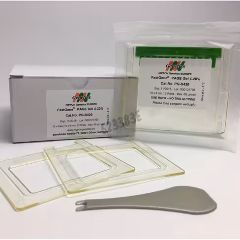 Gel page precoule fastgene 10x8 cm 4-12% 12 puits echantillon 1 pcs