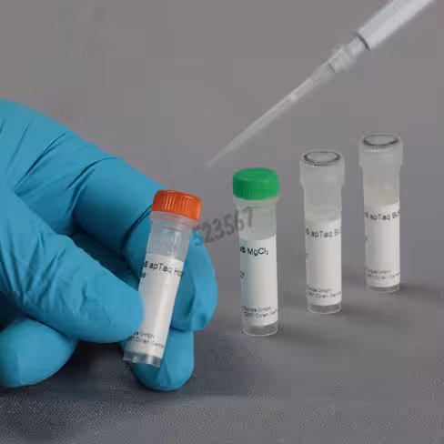 Fastgene aptaq hot start polymerase 500 unités