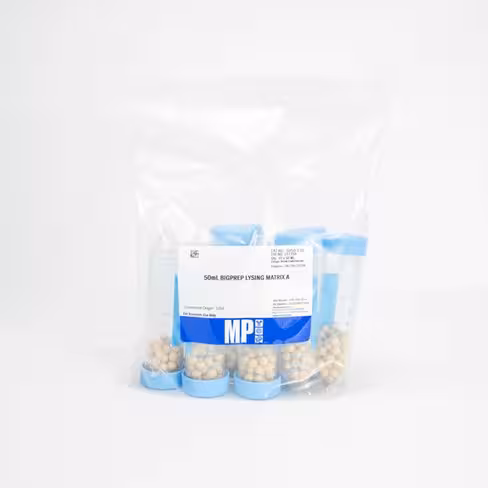 X10 lysing matrix mp biomedical biga 50ml tubes