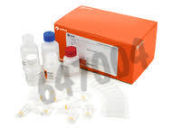 Kit enzymatique pour 125 determinations azote ammoniacal en cuve semimicro 1 pcs