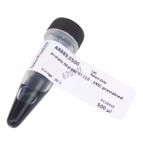 Protein marker vi (10 - 245) précoloré 500 µl