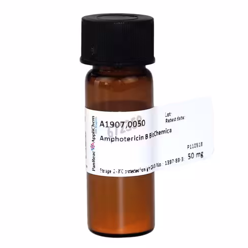 Amphotericine b biochemica 50 mg