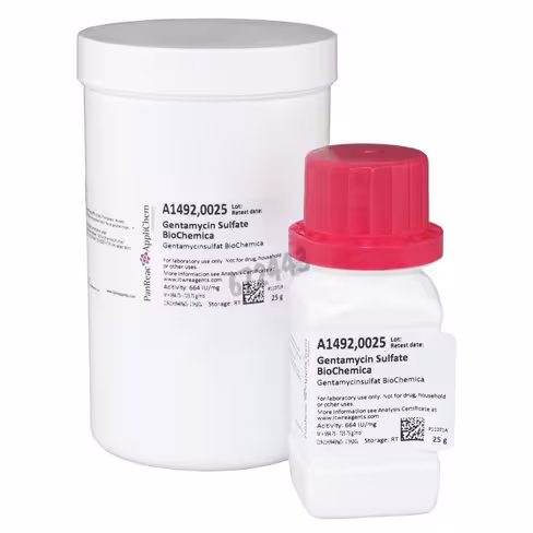 Gentamycine sulfate biochemica 25 g