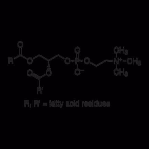 Lecithin from soybean 500 g