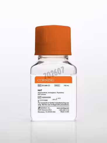 HAT (Hypoxanthine Aminoptérine Thymidine) 100 mL