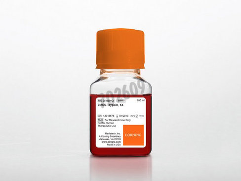 Trypsine 1X 0,25% Trypsine HBSS sans Calcium ni Parvovirus Porcin testé 100mL 6 bouteilles