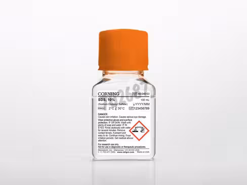 SDS (Sodium Dodecyl Sulfate) 10% 100 mL
