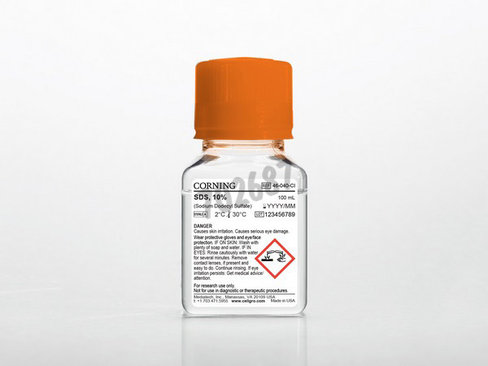 SDS (Sodium Dodecyl Sulfate) 10% 100 mL