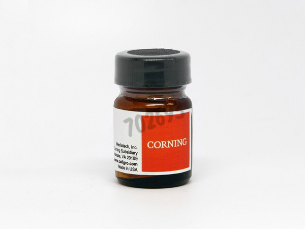 Carbénicilline Sel Disodique poudre 5 g
