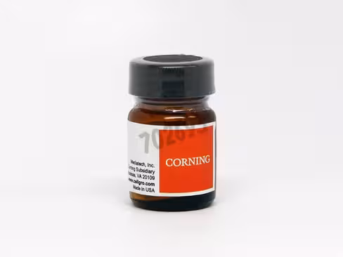 Carbénicilline Sel Disodique poudre 5 g