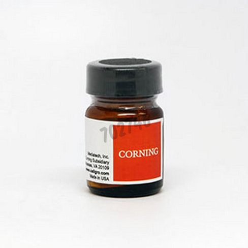 Chlorhydrate de Ciprofloxacine en poudre 5 g