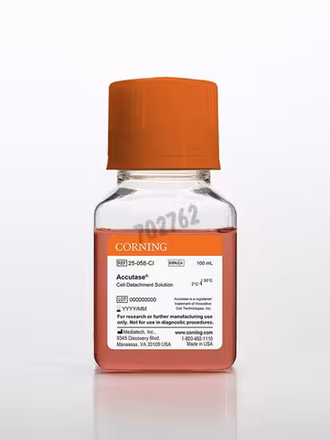 Solution de détachament Accutase 100mL