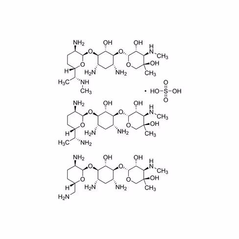 Gentamicin sulfate 10 mg/mL 10 x 10 mL