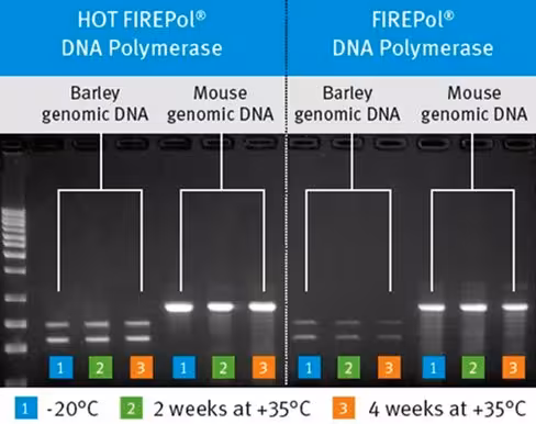 Firepol master mix 5x ready-to-load 12.5 mm 1 ml 250 Réactions