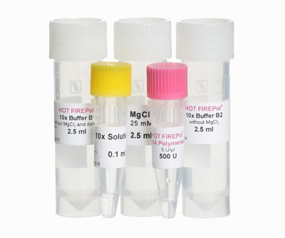 Hot firepol blend master mix 5x ready-to-load 12.5 mm + bsa 1 ml 250 Réactions