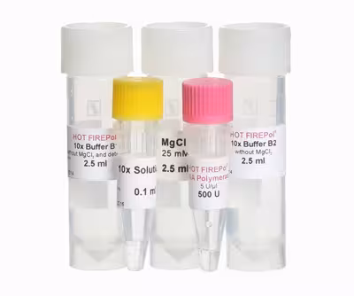 Hot firepol blend master mix 5x ready-to-load 12.5 mm + bsa 20 ml 5000 Réactions