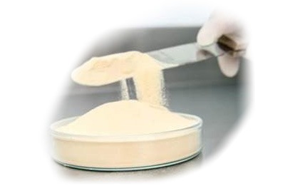 Agarose f.p. dna 250 g