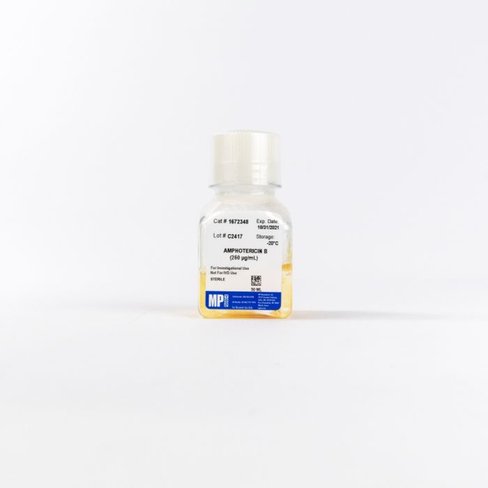 Amphotericin-B (250µg/mL) 50 mL