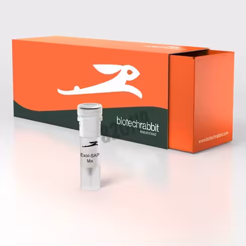 Genup exo sap pcr cleanup kit 500 Réactions