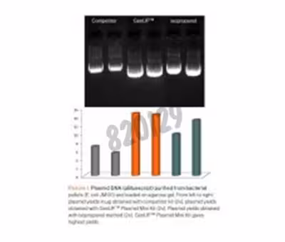 Genup plasmid kit 50 Réactions