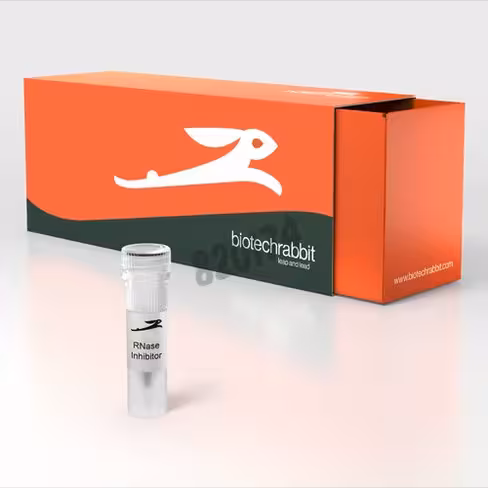 Inhibiteur rnase 40 u/µl 500 réactions