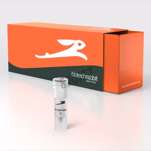 Proteinase k soluble 1,25 ml