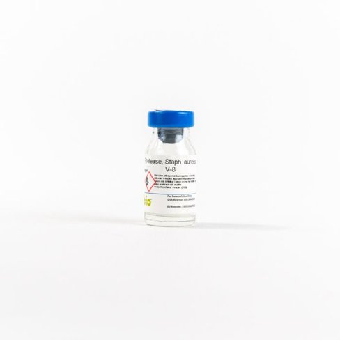 PROTEASE V8 from S. aureus strain V8 Activity: 5 mg