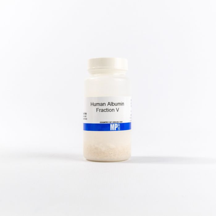Albumin human fraction v 10 g