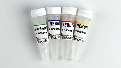 Nebuffer set (r1.1 r2.1 r3.1 and rcutsmart) 4x1,25 ml