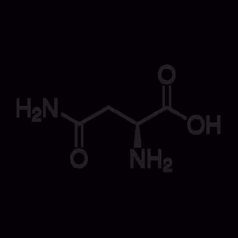 L-asparagine anhydrous purity: 99% 1 kg