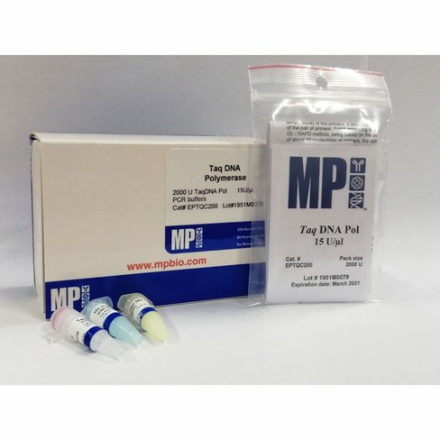 Taq DNA polymerase (15 U/µl) 2000 unités