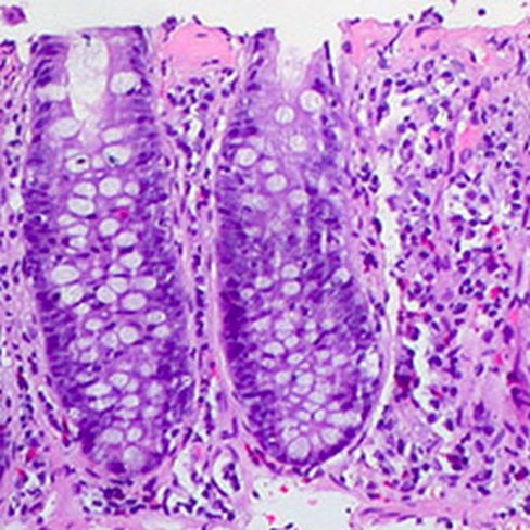 Colorant d'Armand, 100 ml x 1