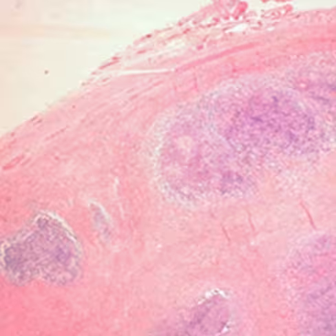 Bleu aniline Orange G d'Heidenhain, 250 ml x 1