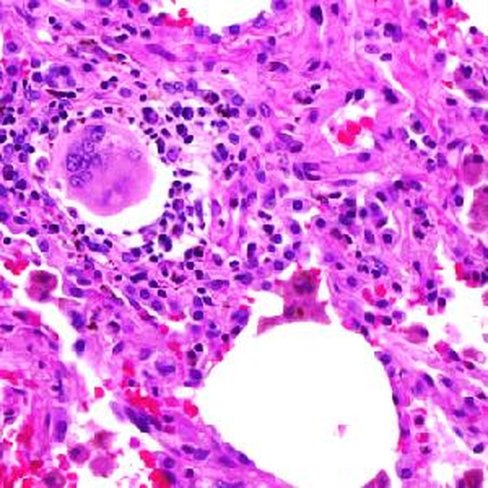 Décolorant de Degommier, 1 litre x 1