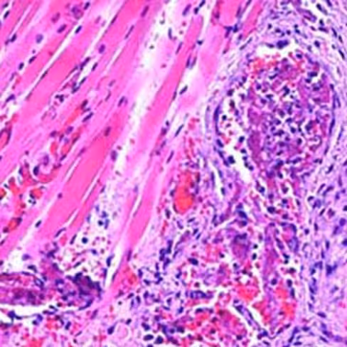 Rouge nucléaire rapide, 500 ml x 1