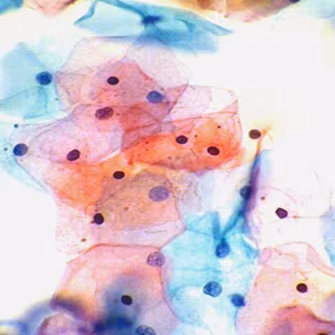 Papanicolaou EA50, 1 litre x 1