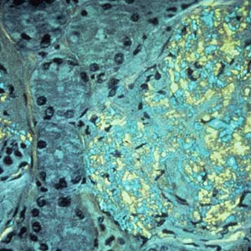 Rouge Congo de Highman, 250 ml x 1