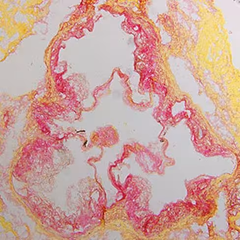 Rouge Sirius de Puchtler, 100 ml x 1