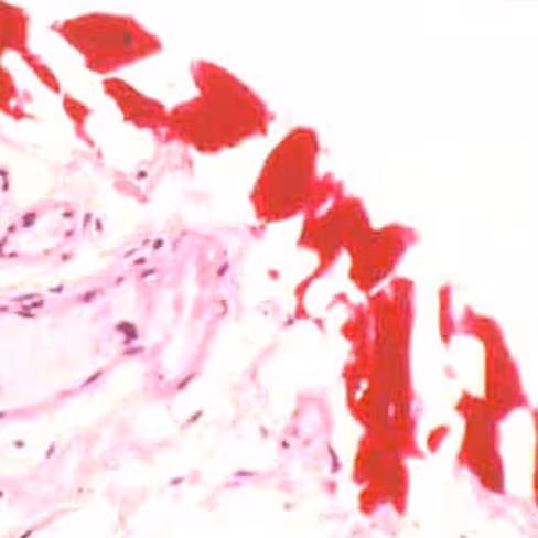 Colorant rouge indélébile, 100 ml x 1