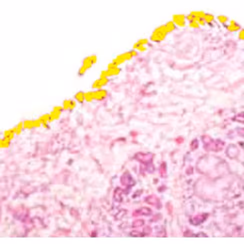 Colorant jaune indélébile, 100 ml x 1