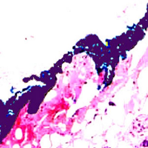 Colorant violet indélébile, 100 ml x 1