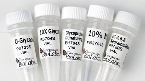 O-glycosidase and neuraminidase bundle 1 kit