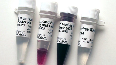 Q5 high-fidelity pcr kit 200 réactions