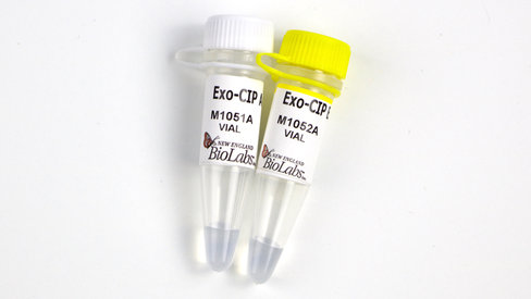 Exo-cip rapid pcr cleanup kit 400 réactions
