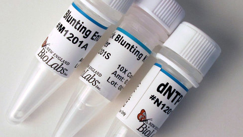 Quick blunting kit 20 réactions