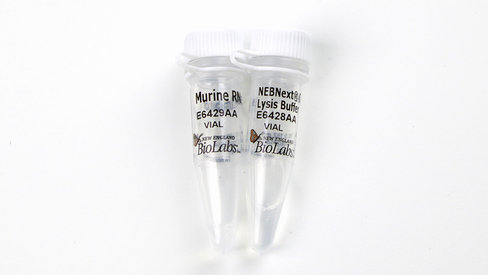 Nebnext single cell lysis module 96 réactions