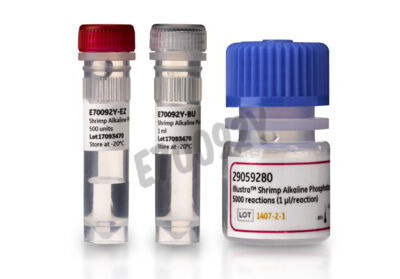 Alkaline phosphatase shrimp 500 Unités