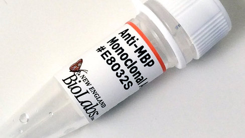 Anti-mbp monoclonal antibody 0,05 ml